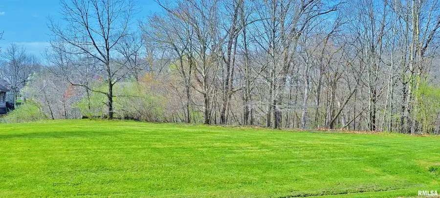 8020 Oak Run Drive, Dahinda, IL 61428 - Image #2