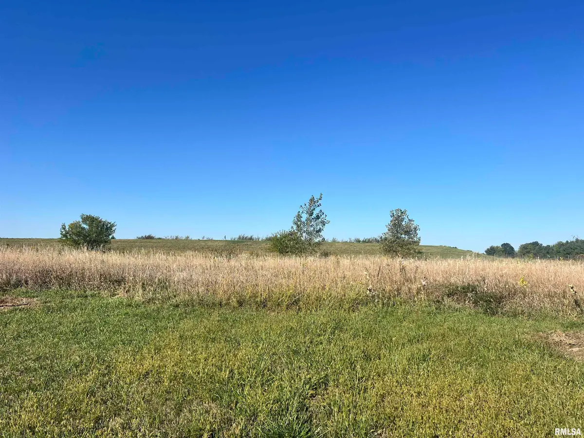 Lot 91 Kyle Court, Metamora, IL 61548 - Image #1