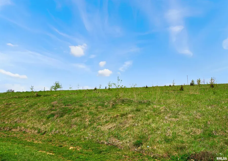 0 - LOT 9 N Stevens Court, Princeville, IL 61559 - Image #2