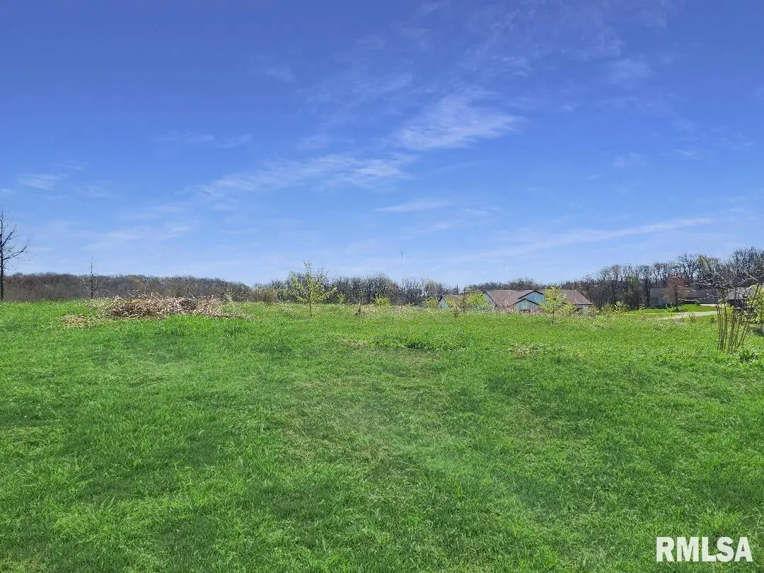 0 - LOT 7 Town Avenue, Princeville, IL 61559 - Image #1