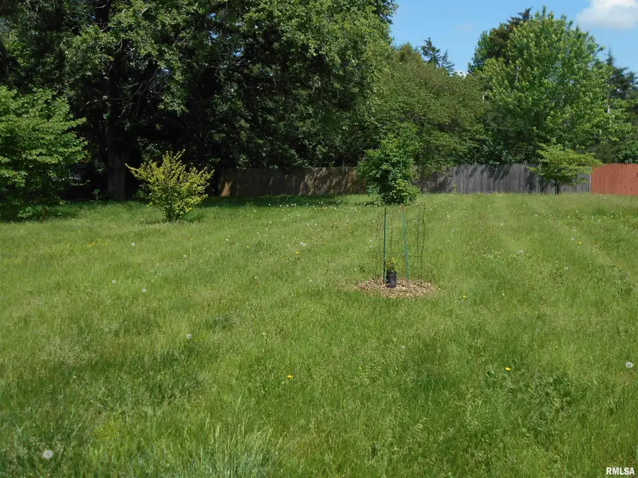 457 S Madison Street, Macomb, IL 61455 - Image #2