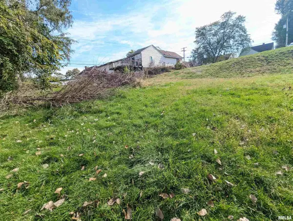 593 Roosevelt Street, Creve Coeur, IL 61610