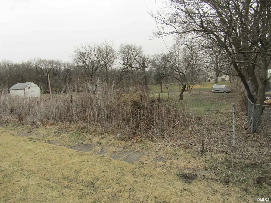 204 Chestnut, Forest City, IL 61532 - Image #2