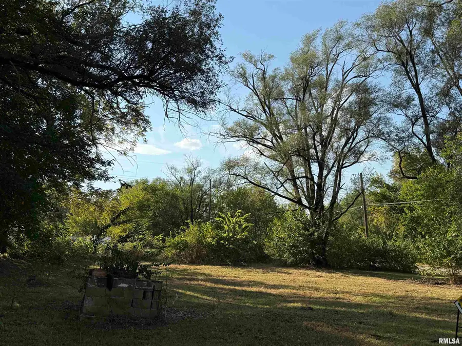 702&704 S Coleman Street, Havana, IL 62644 - Image #2