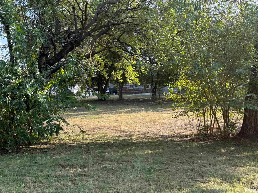 702&704 S Coleman Street, Havana, IL 62644 - Image #3