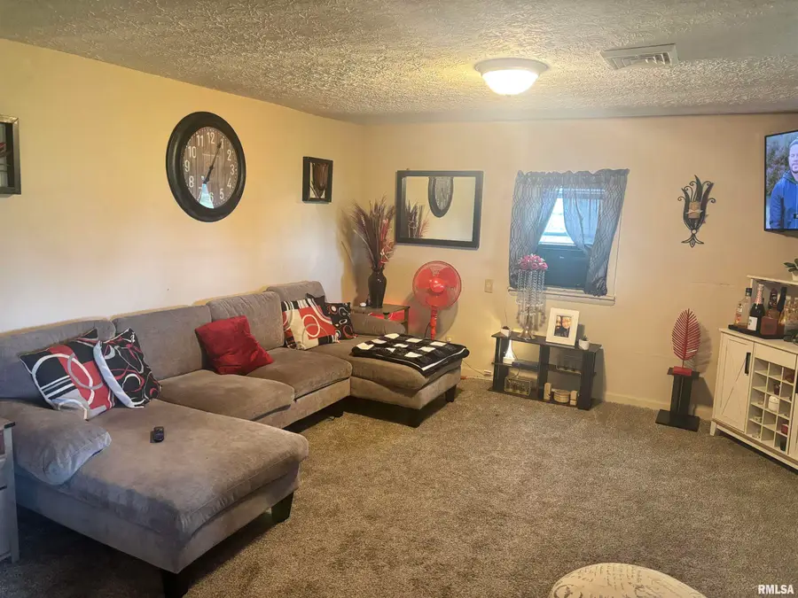 300 S Park Street, Prairie City, IL 61470 - Image #2