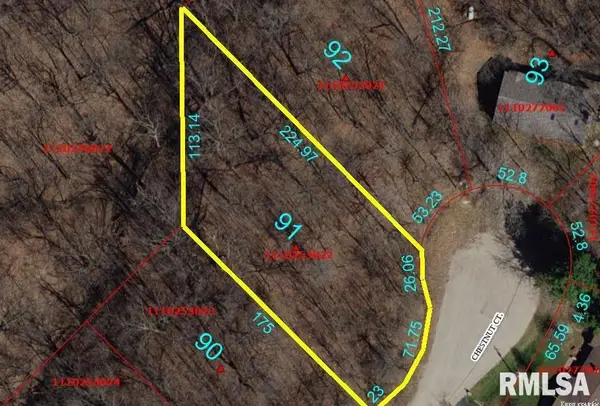 91 Chestnut Court, Dahinda, IL 61428