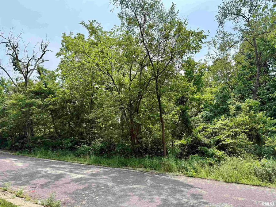 106 Maywood Avenue, Creve Coeur, IL 61610 - Image #3