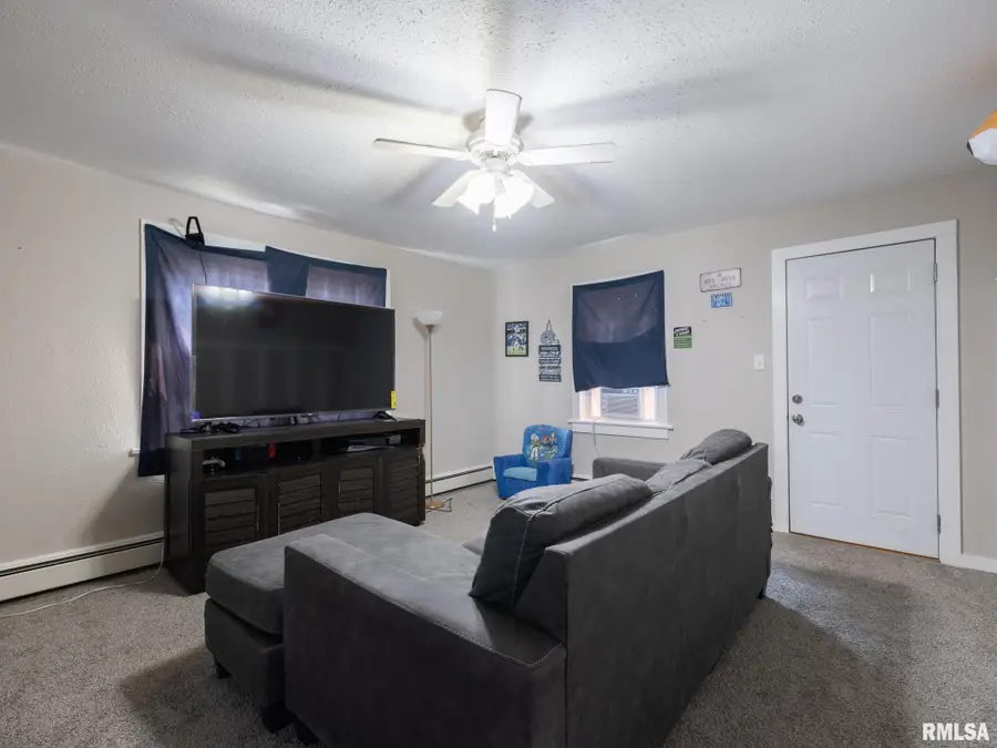 307 S Hickory Street, Wenona, IL 61377 - Image #3