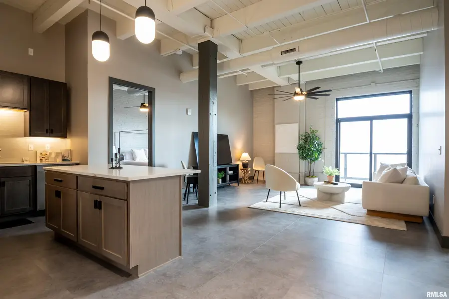 1001 SW Adams Street #207, Peoria, IL 61602 - #3