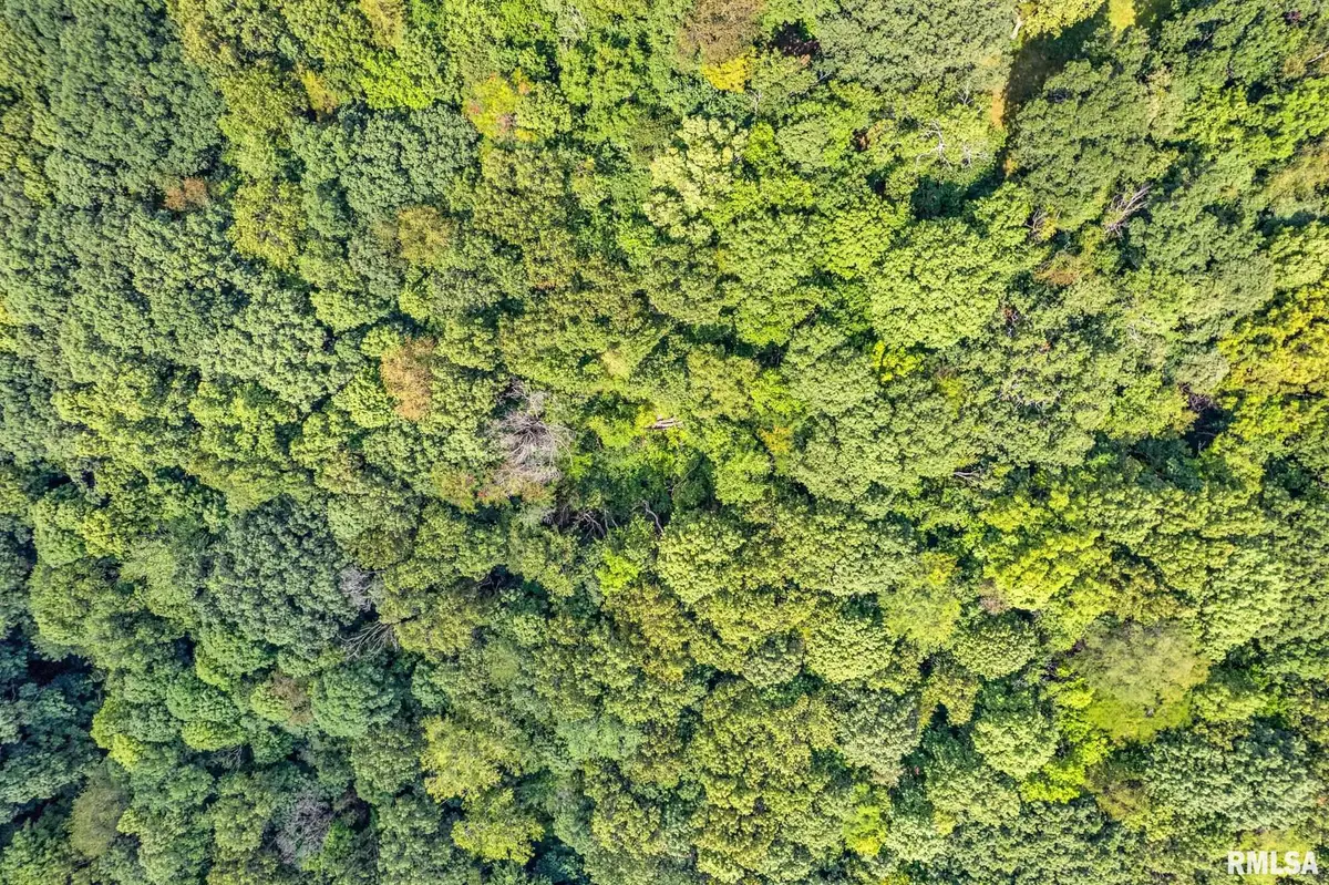 N Ivy Lake Road, Chillicothe, IL 61523 - Image #1