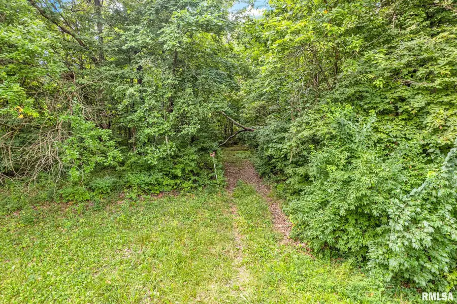 N Ivy Lake Road, Chillicothe, IL 61523 - Image #2