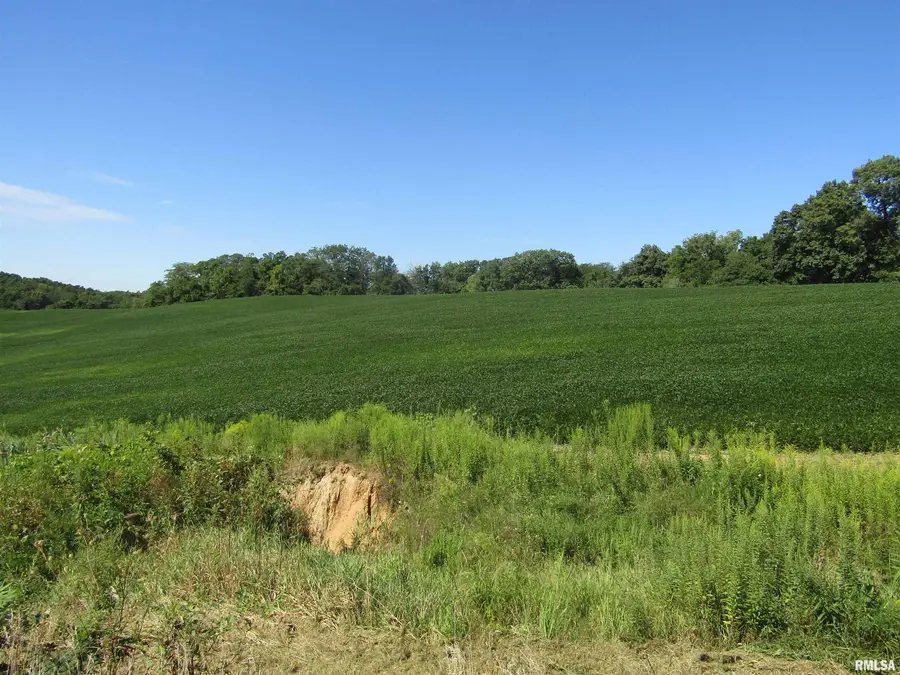 0 N Highway 9 County Road, Lewistown, IL 61542 - Image #2