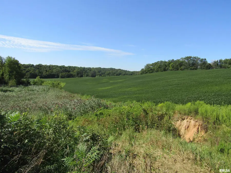 0 N Highway 9 County Road, Lewistown, IL 61542 - Image #3