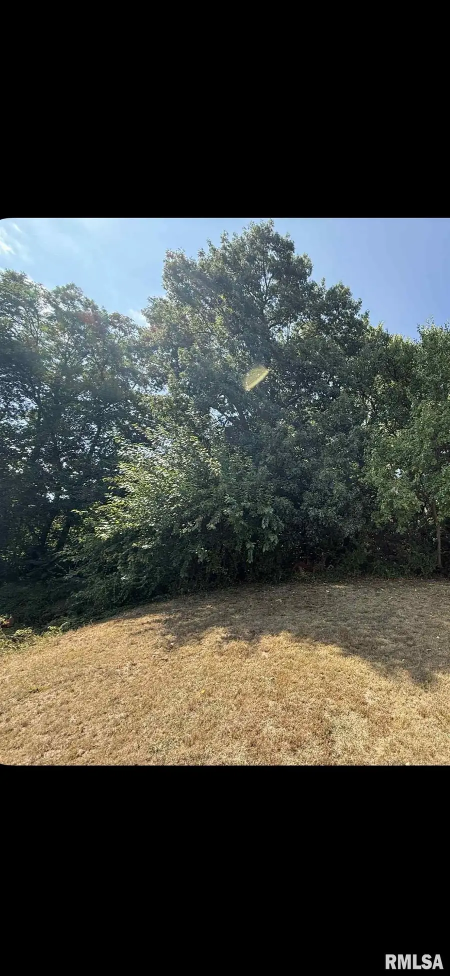 323 Buena Vista Street, Bartonville, IL 61607 - Image #3