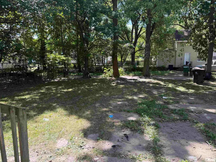 704 E Lasalle Street, Peoria, IL 61603 - Image #2