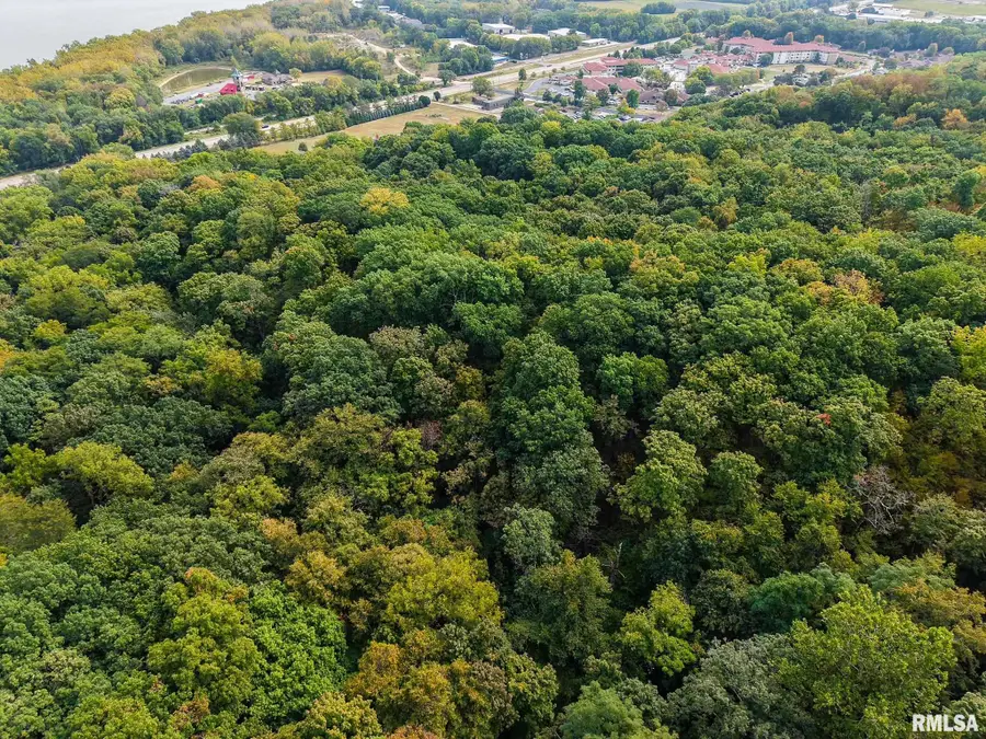 0 E Koch Drive, Peoria, IL 61615 - Image #3