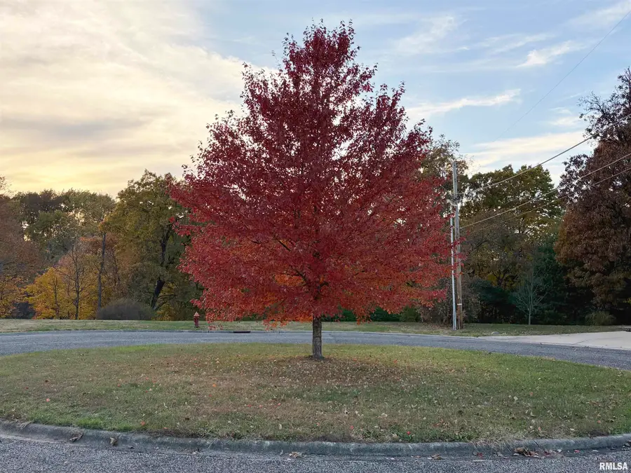 43 Lynnwood Court, Morton, IL 61550 - Image #3