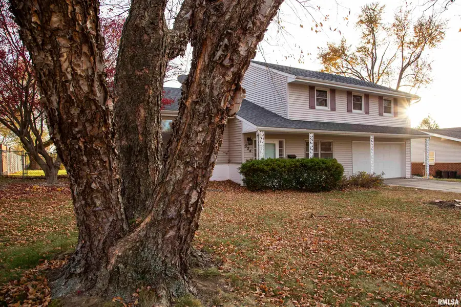 324 W Ivy Lane, Peoria, IL 61614 - Image #3