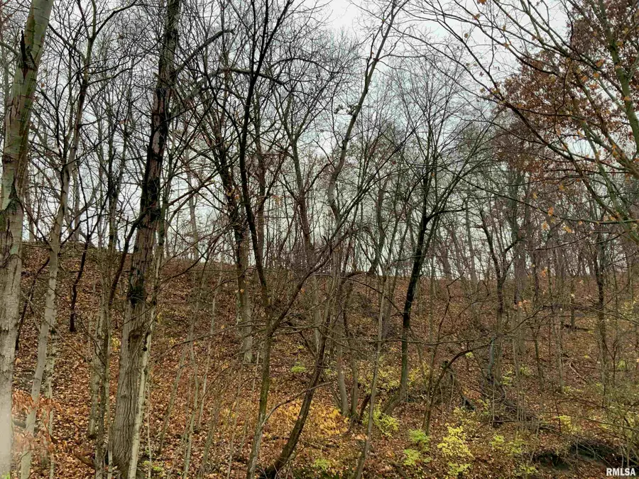 000 Yankee Lane, Chillicothe, IL 61523 - Image #3