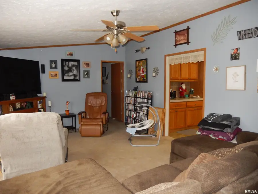 201 N Pine Street, Good Hope, IL 61438 - Image #3