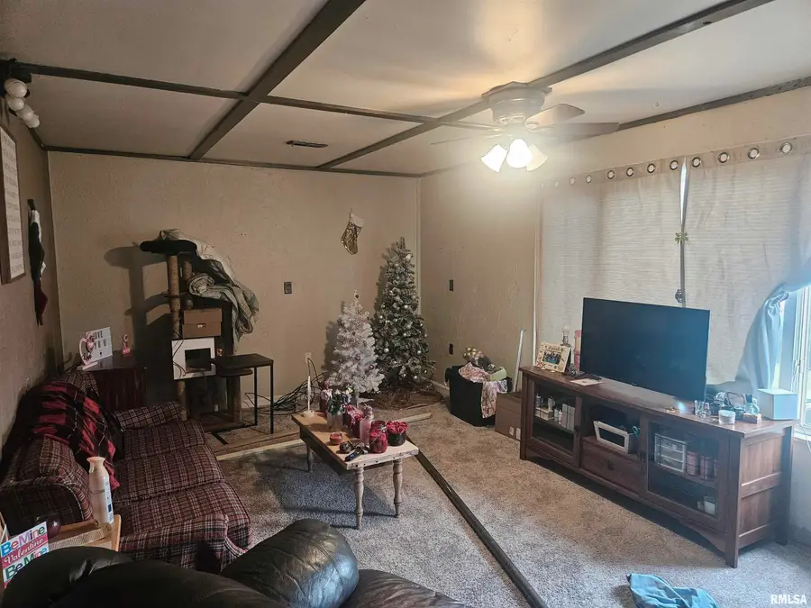 640 Grant Place, Canton, IL 61520 - #3
