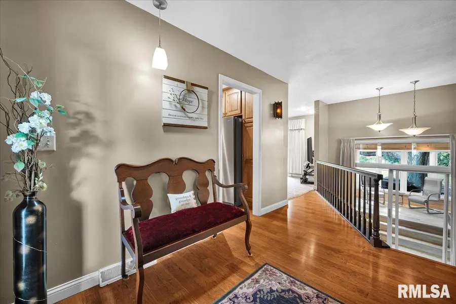 111 Ivy Lane, Knoxville, IL 61448 - Image #3