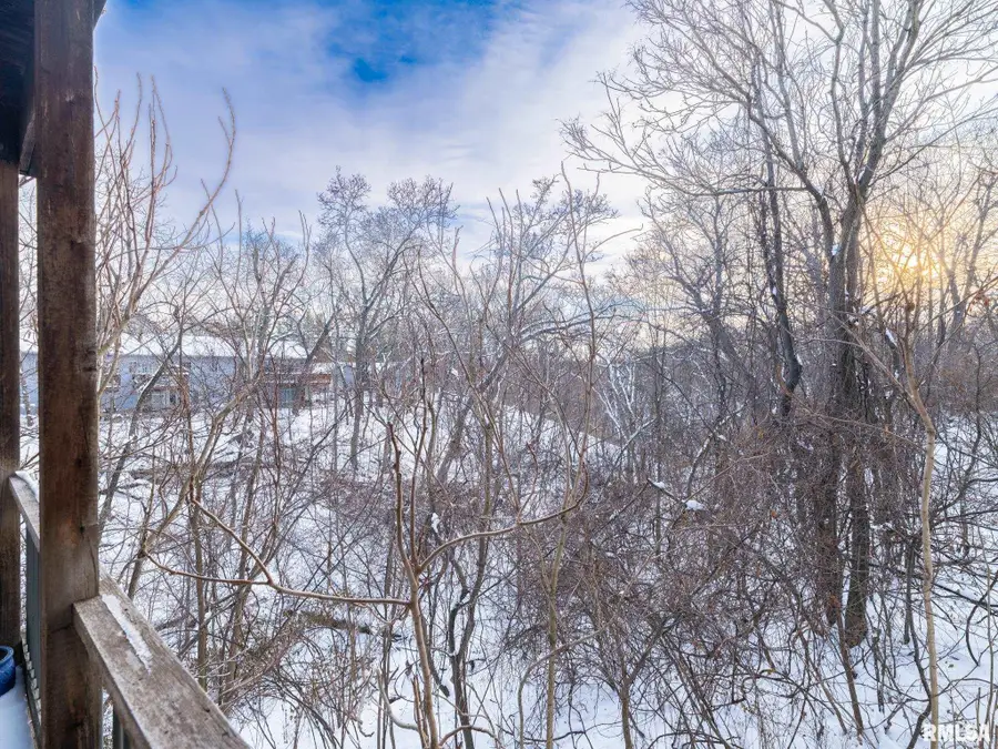 3444 W Dorchester Ridge #D, Peoria, IL 61604 - Image #3