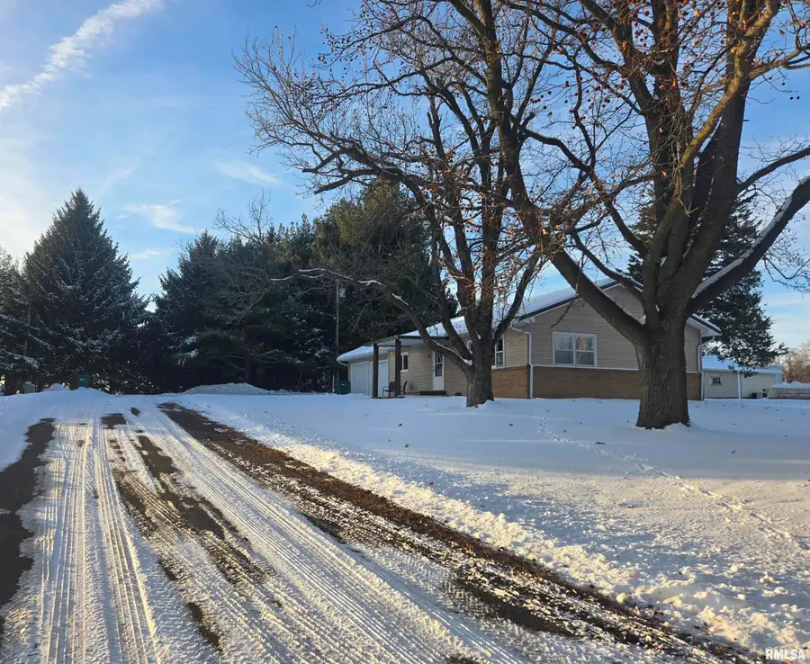 110 W Mound Street, Blandinsville, IL 61420 - Image #3