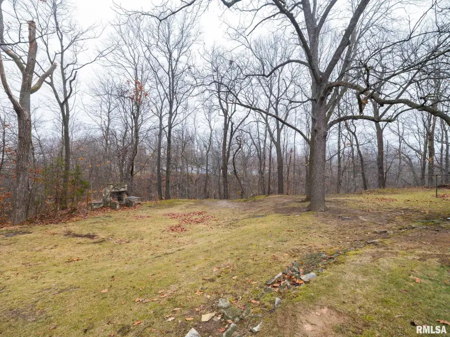 717 W Brow Court, Peoria, IL 61615 - Image #3