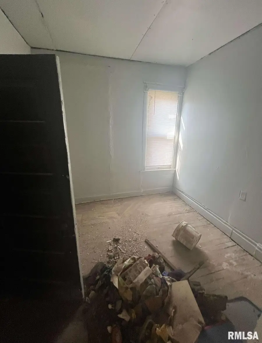 213 N Webster Street, Peoria, IL 61605 - Image #2