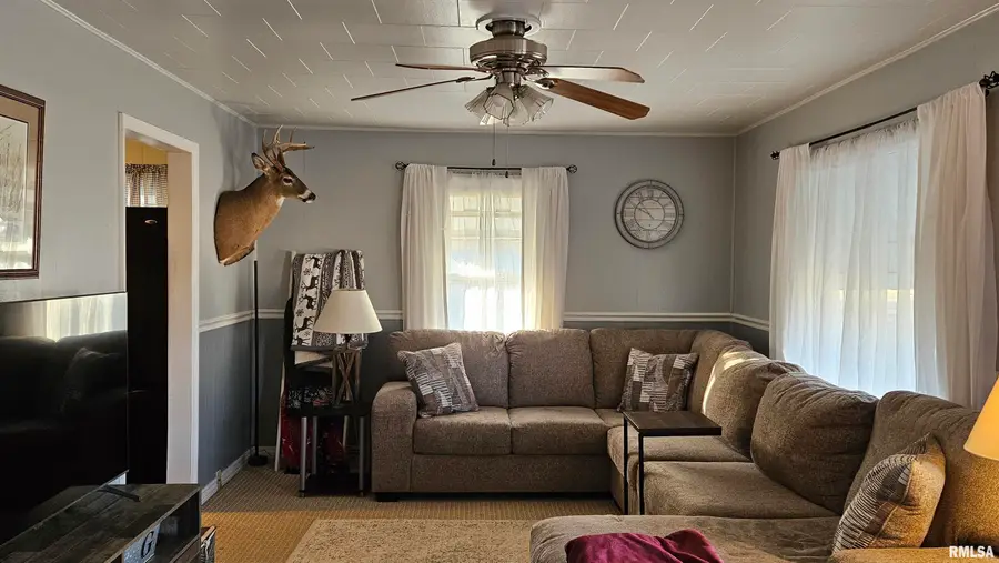 335 Iris Court, Canton, IL 61520 - Image #3