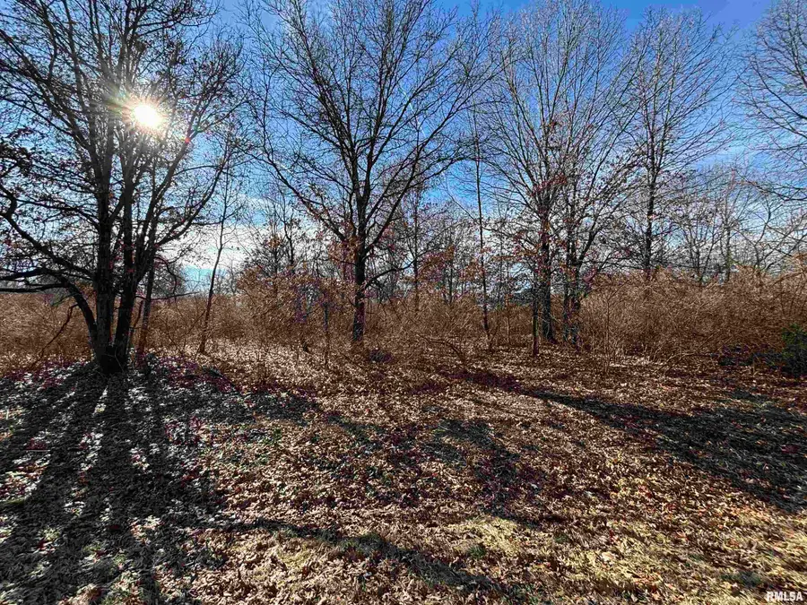 152 Timberline Place, Dahinda, IL 61428 - Image #3