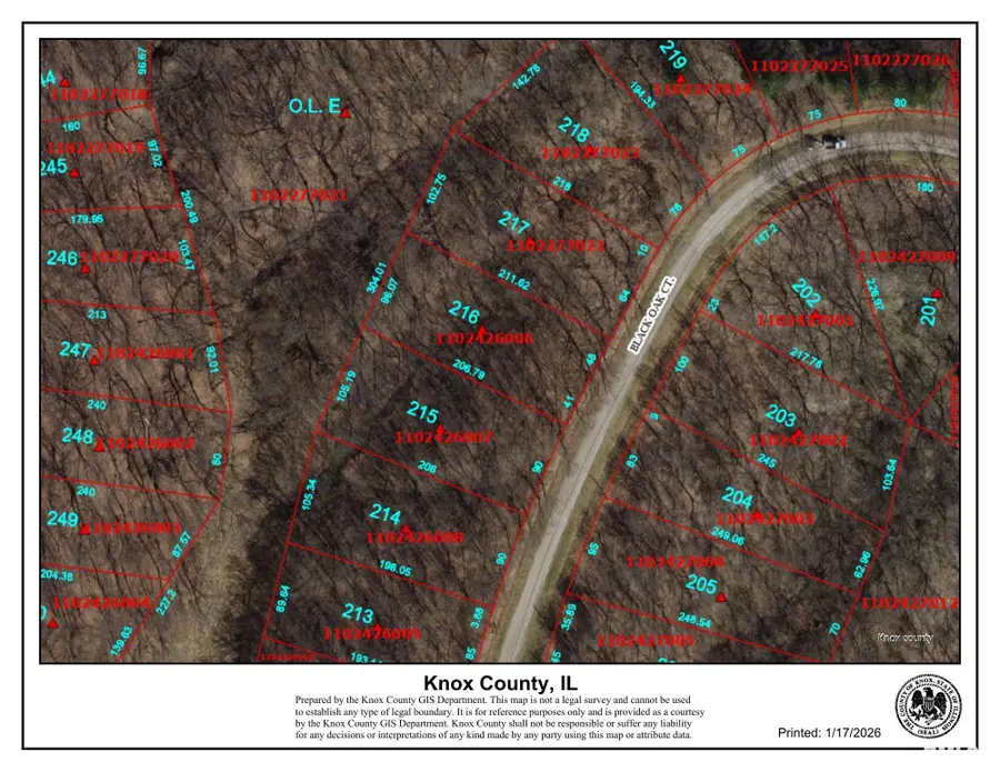 216 Black Oak Court, Dahinda, IL 61428 - Image #2