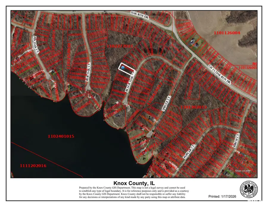 216 Black Oak Court, Dahinda, IL 61428 - Image #3