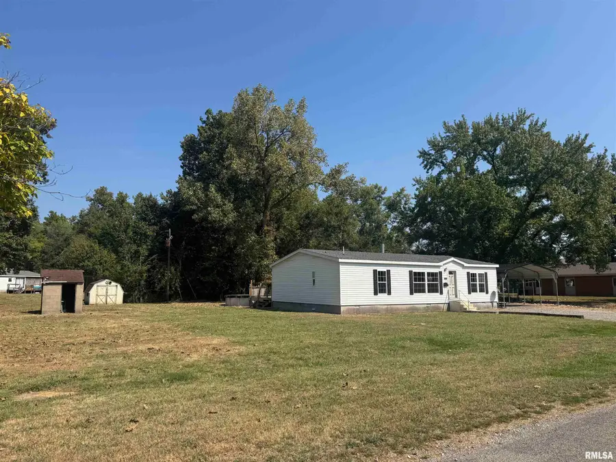 413 Walnut Street, Zeigler, IL 62999 - #3