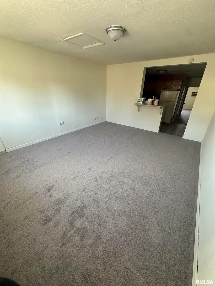 1219 S Court Street, Marion, IL 62959 - Image #2