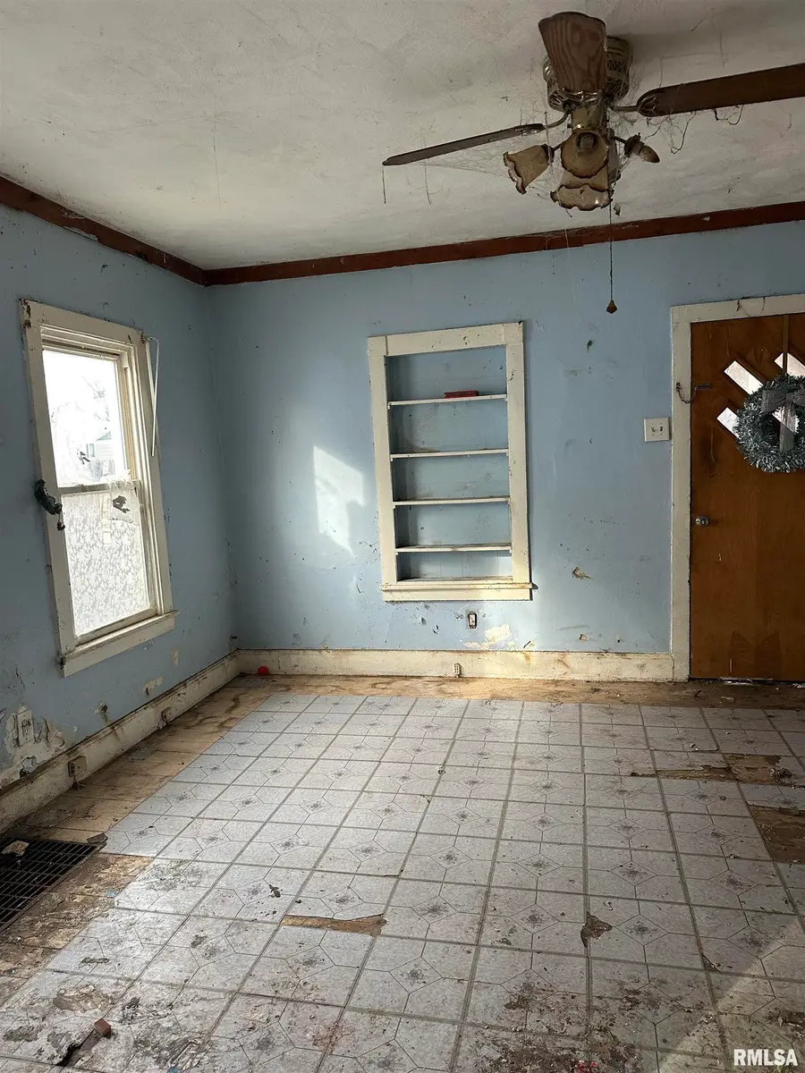 128 Ash Street, Canton, IL 61520 - Image #3