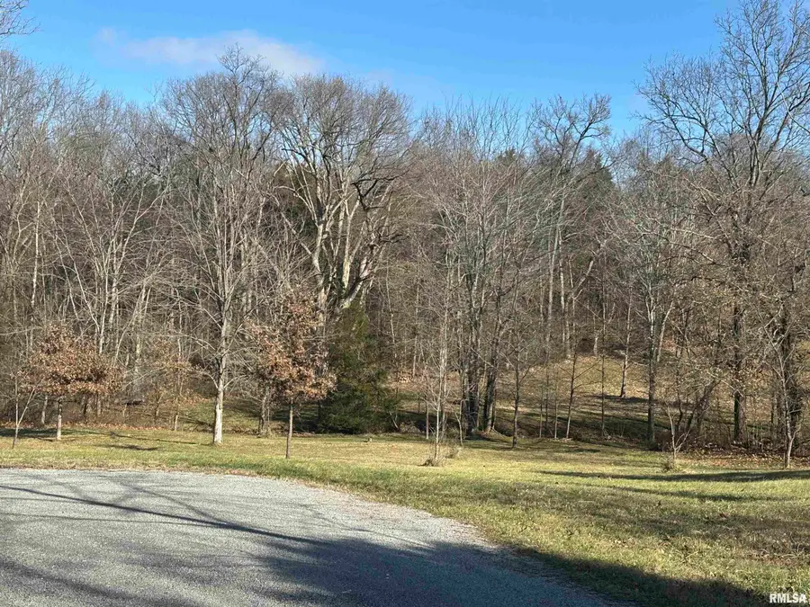 0000 Joyce Lane, Vienna, IL 62995 - #2