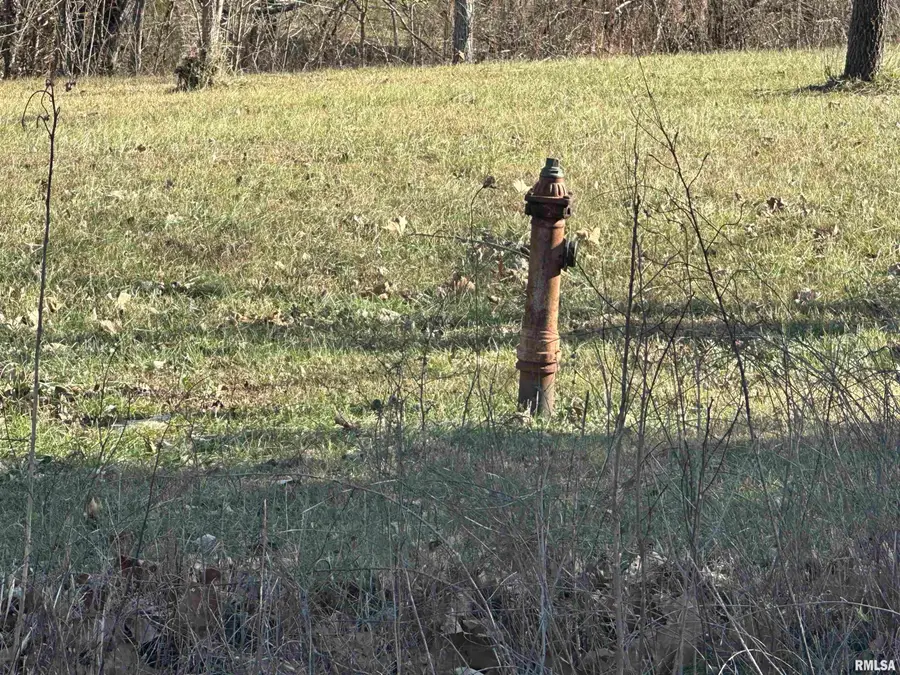 0000 Joyce Lane, Vienna, IL 62995 - #3