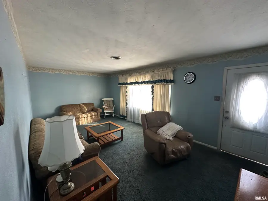 115 Janet Lane, Murphysboro, IL 62966 - Image #2