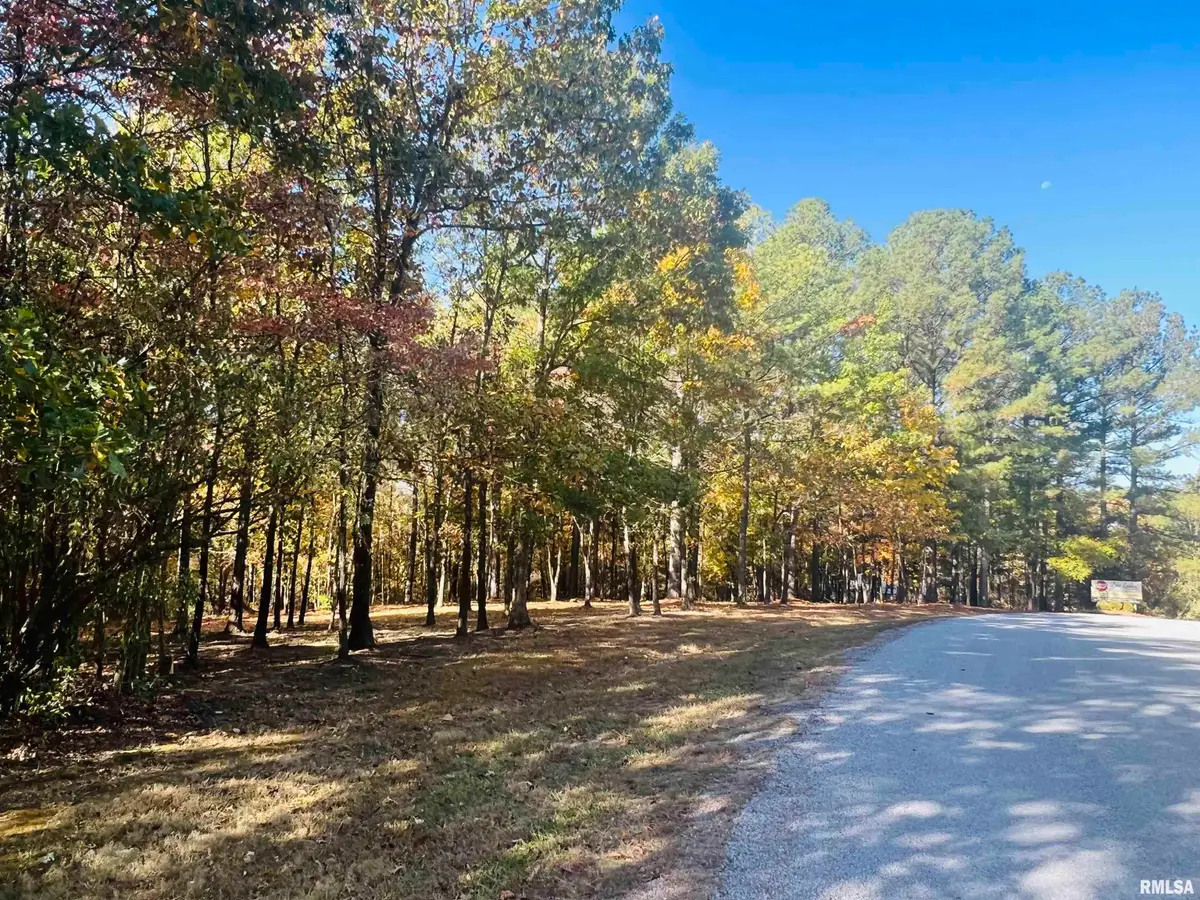 Lot 41 Luxor Landing Lane, Goreville, IL 62939 - #1