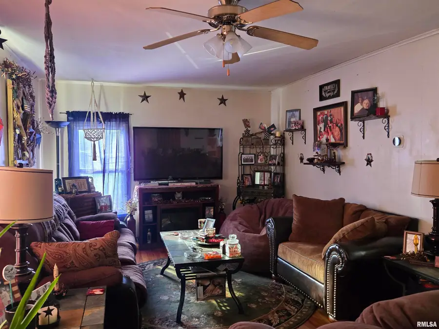 735 W 3rd Street, Dallas City, IL 62330 - #2