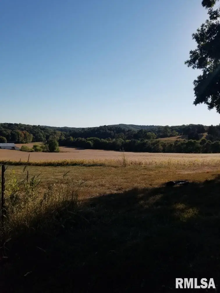 TBD Berryville Road, Jonesboro, IL 62952 - #3