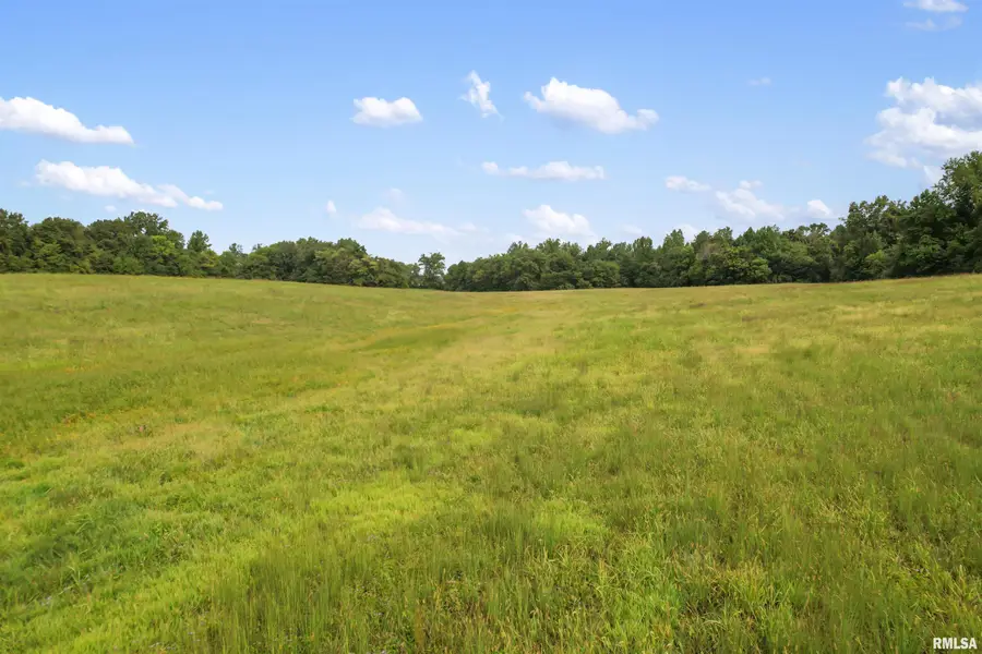 0 Wing Hill Road, Cobden, IL 62920 - #3