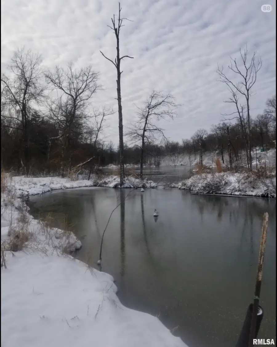 211 Dewmaine Road, Carterville, IL 62918 - #3