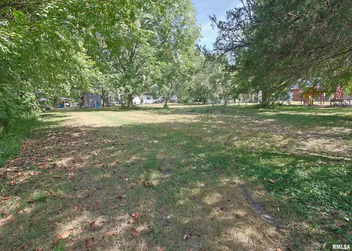 432 N Seba Street, Hurst, IL 62949 - #1