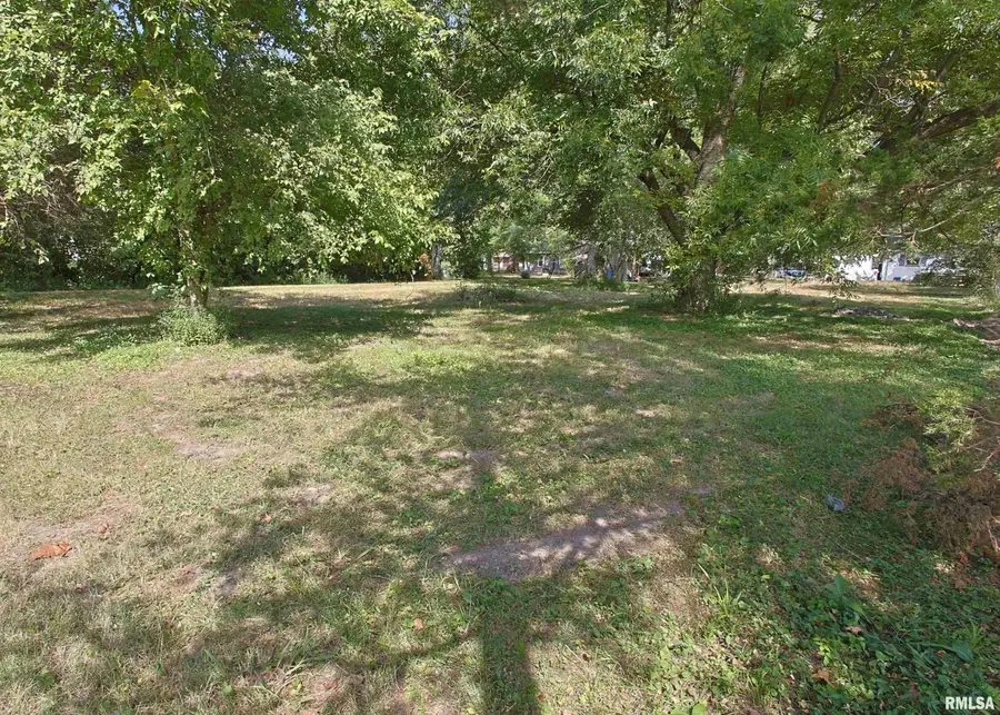 432 N Seba Street, Hurst, IL 62949 - #2