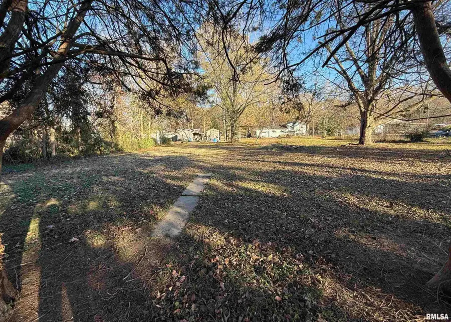 432 N Seba Street, Hurst, IL 62949 - #3