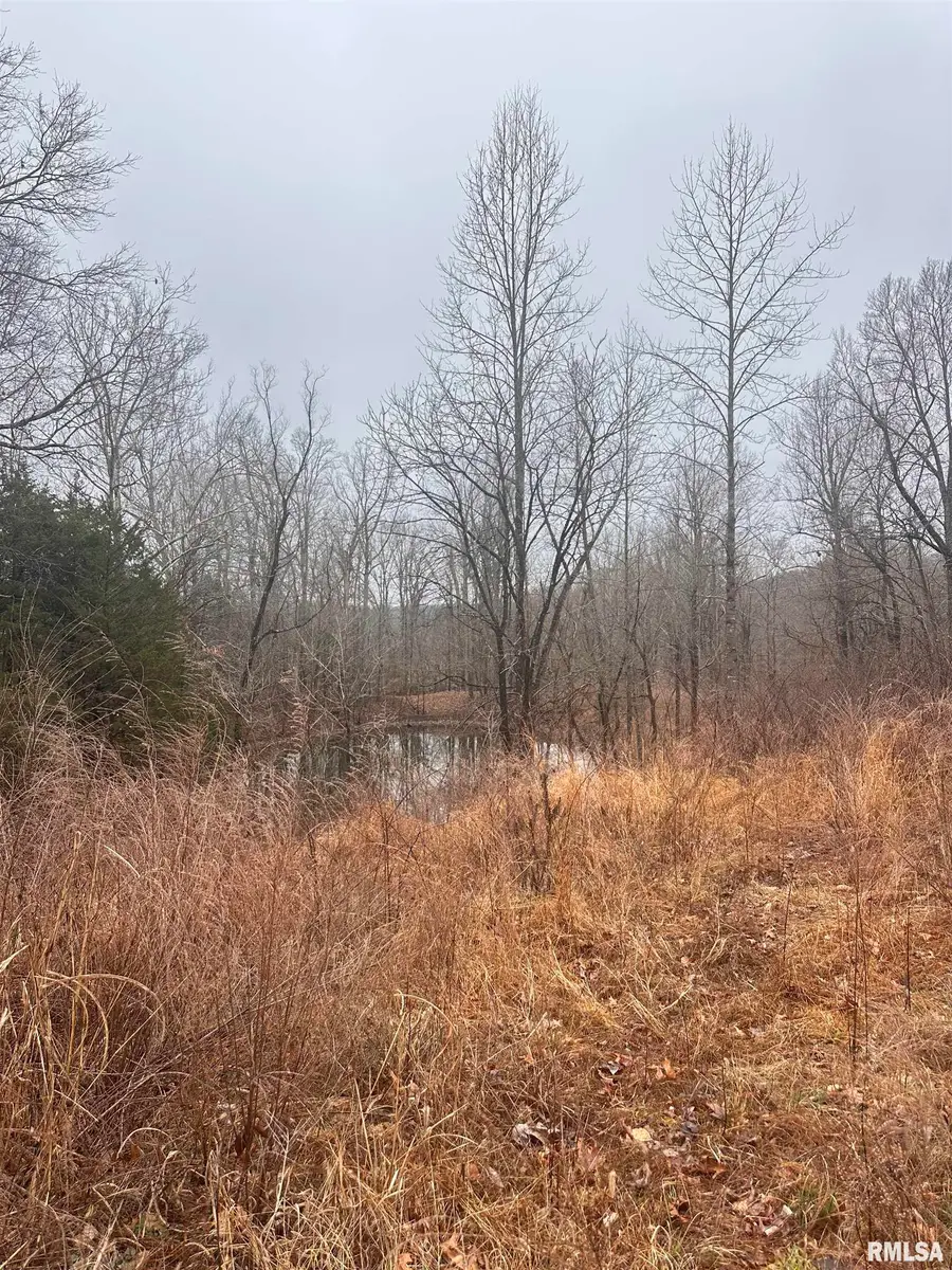 4763 State Route 127 N Highway, Cobden, IL 62920 - #3